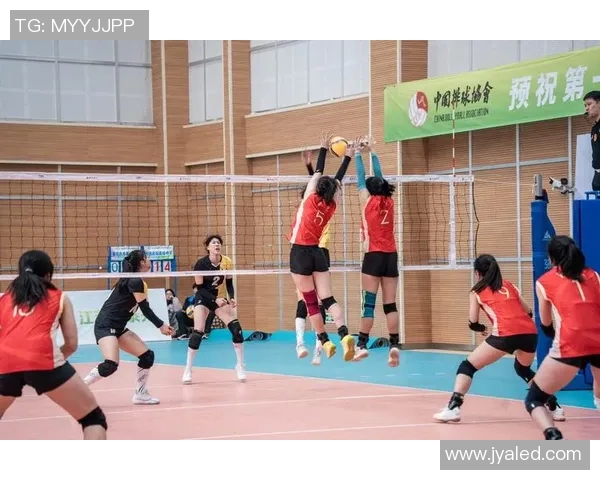 深圳排球队在全国排球团队协作排行榜中荣获第四名的佳绩分析